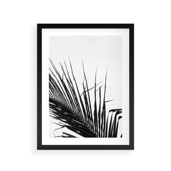 Plakat w ramie 30x40 - Sztuka Natury: Monochromatyczna Palma - palma, czarno białe zdjęcie - rama czarna
