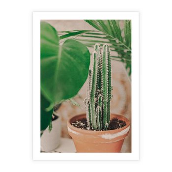 Plakat bez ramy 30x40 - Boho Urok - kaktus w doniczce, gliniana doniczka