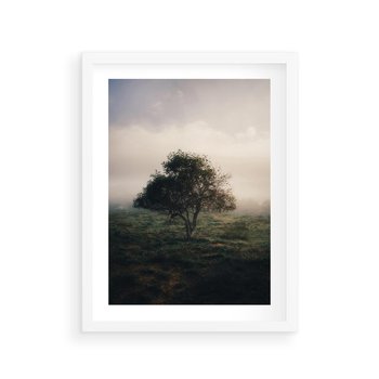Plakat w ramie 50x70 - Zamglona Prostota - artystyczna fotografia, samotne drzewo na zamglonej łące - rama biała
