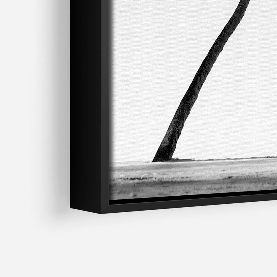 Obraz w ramie 50x70 - Samotne Palmy - czarno biała fotografia, dwie samotne palmy - rama czarna