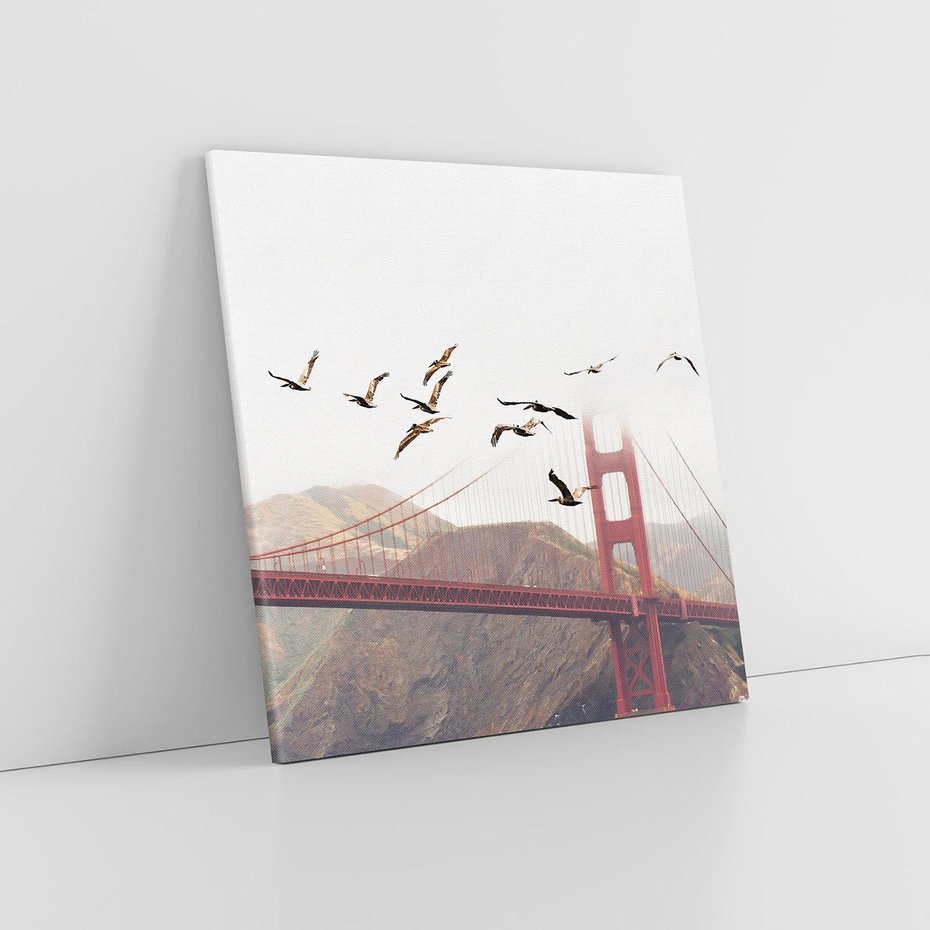 Obraz na płótnie 70x70 - Mewy przy Złotej Bramie - mewy, Golden Gate