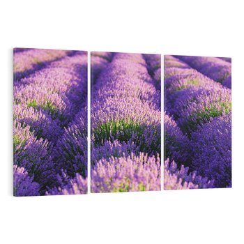 Obraz na płótnie 120x80 - Malownicze Pole Lawendy - lawenda, pole
