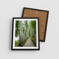 Plakat w ramie 40x50 - Spacer ścieżką przez brzozowy las - las, ścieżka - rama czarna