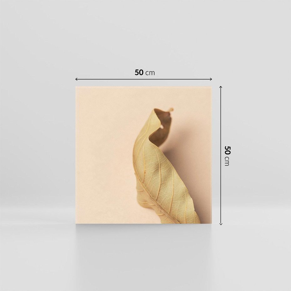 Obraz na płótnie 50x50 - Boho suszone liście - suszony, liść