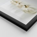 Zestaw obrazy w ramie 40x50 galeria - Białe, dynie, minimalizm - rama czarna