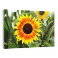 Obraz na płótnie 70x50 - Kwiatowa harmonia natury - słonecznik, kwiaty