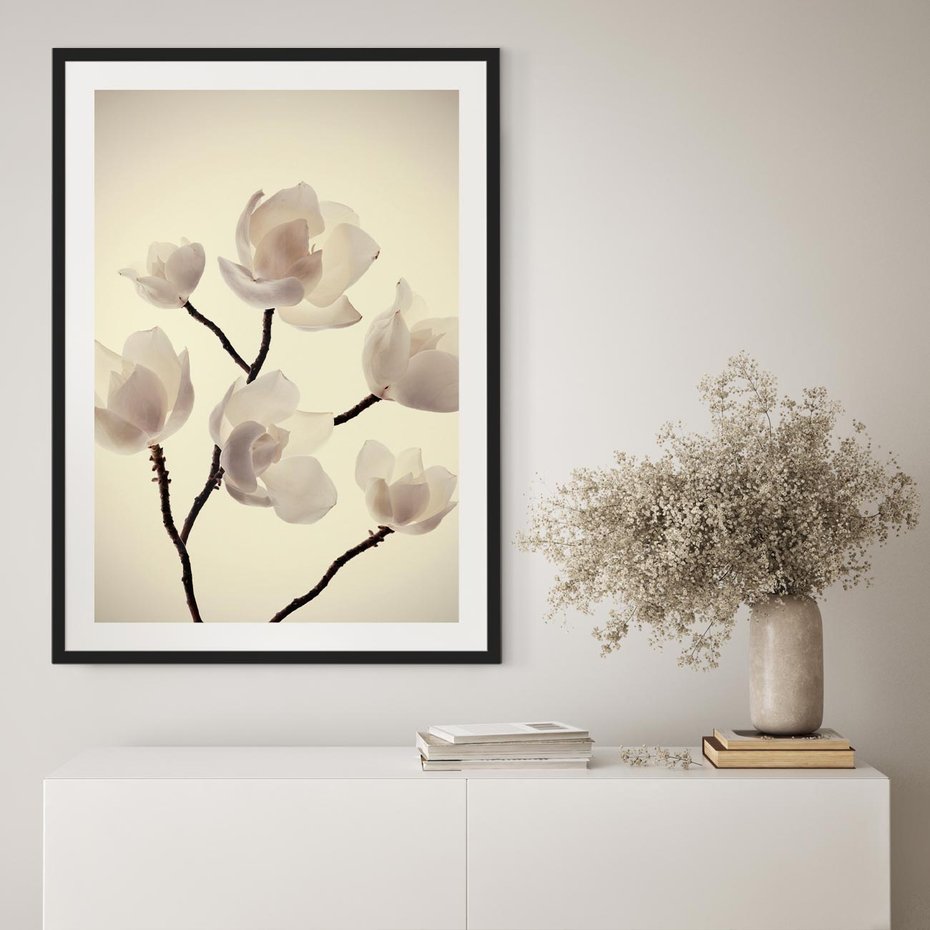 Plakat bez ramy 40x50 - Elegancja Natury - magnolia, białe