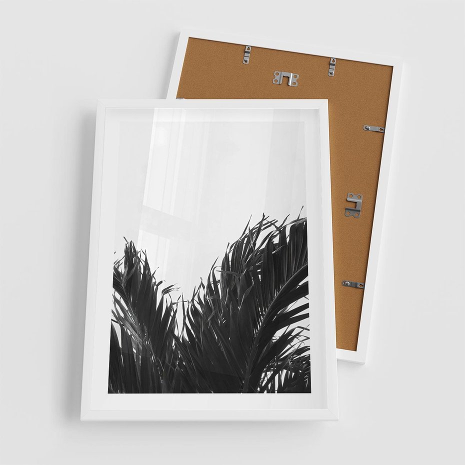 Plakat w ramie 50x70 - Tropikalna Uroda w Czerni i Bieli - fotografia czarno biała, liście palmy - rama biała