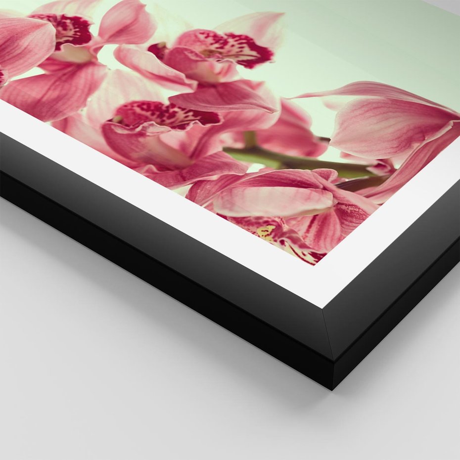 Plakat w ramie 40x50 - Orchidea - delikatne kwiaty - orchidea, kwiaty - rama czarna