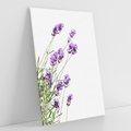 Obraz na płótnie 50x70 - Delikatny Urok - lawenda, kwiaty