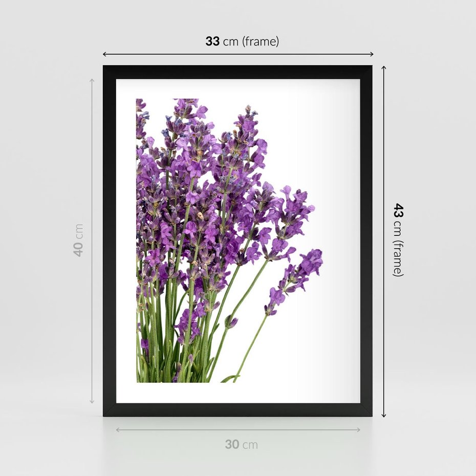 Plakat w ramie 30x40 - Pola lawendy w pełnym rozkwicie - lawenda, kwiaty - rama czarna