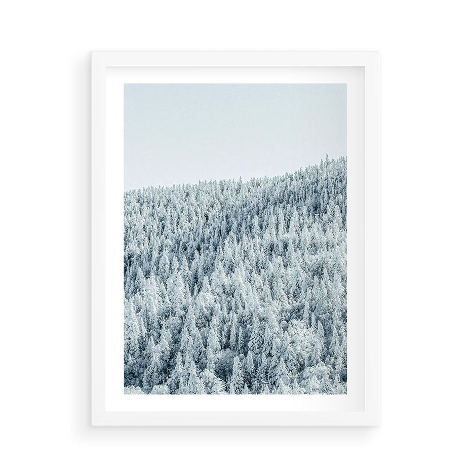 Plakat w ramie 50x70 - Cicha Zima - las, zima - rama biała
