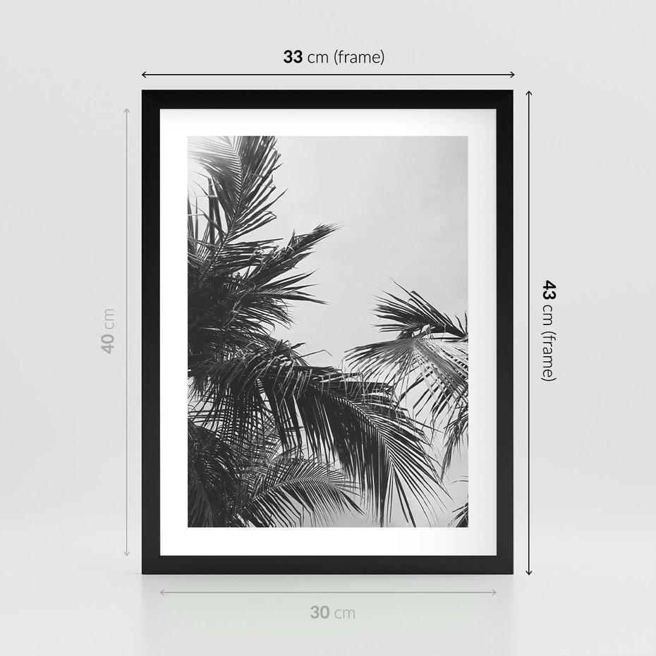 Plakat w ramie 30x40 - Palmy w Monochromii - palmy, tropikalne palmy - rama czarna