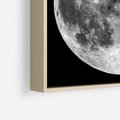 Obraz w ramie 50x50 - Księżycowa Aura - zdjęcie, ogromny księżyc na czarnym tle - rama drewno