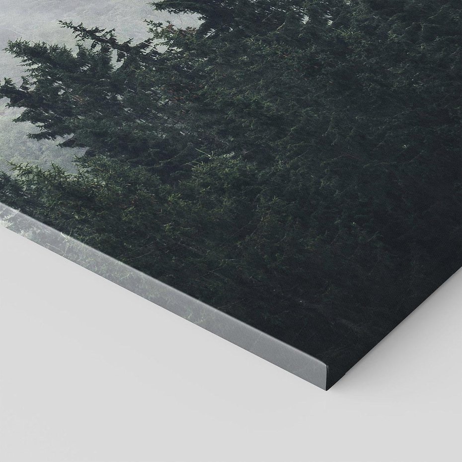 Obraz na płótnie 80x120 - Las w górach: mistyczna mgła - las, góry