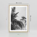 Plakat w ramie 50x70 - Palmy w Monochromii - palmy, tropikalne palmy - rama drewno