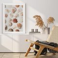 Plakat bez ramy 21x30 - Morska Delikatność: Muszelki na Białym Tle - kompozycja, morskie muszelki na białym tle