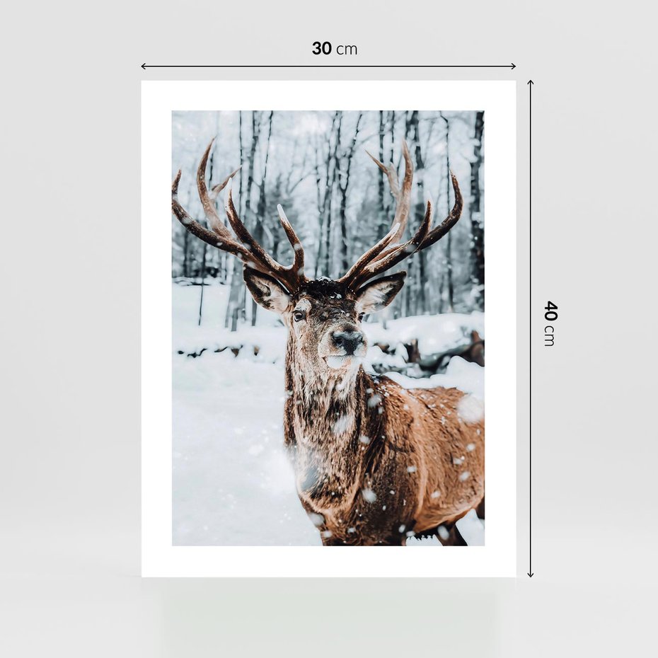 Plakat bez ramy 30x40 - Jeleń na Zdjęciu pod Śniegiem - jeleń, zima