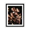 Plakat w ramie 40x50 - Hortensja - Suchy Kwiat w Sztuce - hortensja, suchy kwiat - rama czarna