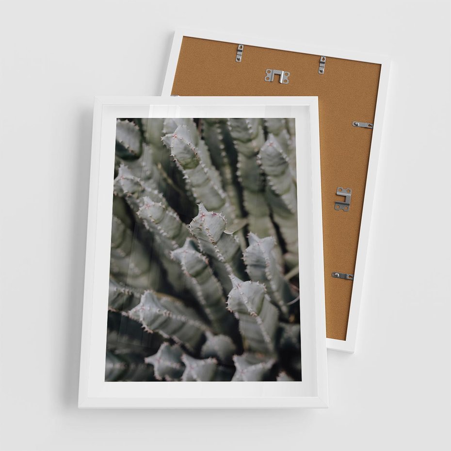 Plakat w ramie 50x70 - Oaza Natury - sukulenty, kaktusy - rama biała