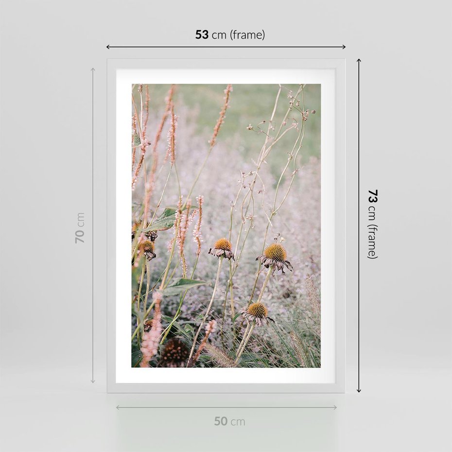 Plakat w ramie 50x70 - Przyroda w Pełnym Blasku: Kolorowa łąka z Kwiatami - łąka, kwiaty na łące - rama biała
