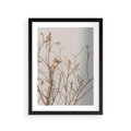 Plakat w ramie 30x40 - Boho gałązki suche - gałązki, suche - rama czarna