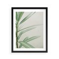 Plakat w ramie 40x50 - Minimalistyczna Tropikalna Harmonia - tropikalna roślina, zielone liście - rama czarna