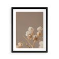 Plakat w ramie 40x50 - Przezroczyste piękno - gipsówka, suche - rama czarna
