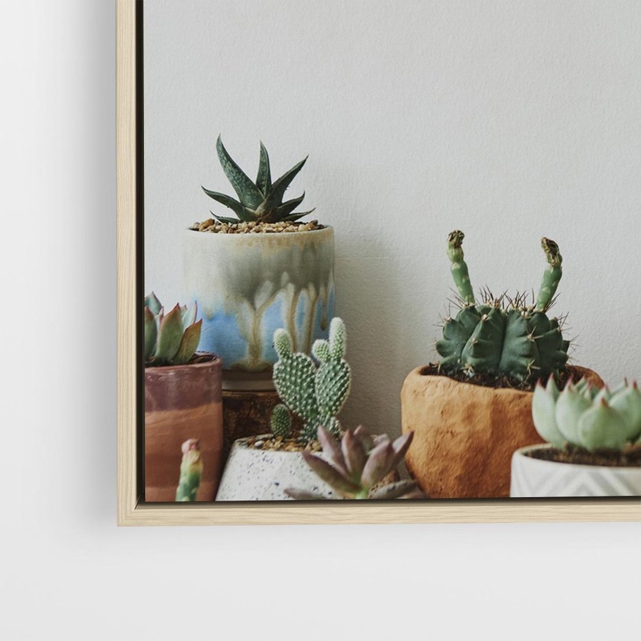 Obraz w ramie 50x50 - Naturalna Harmonia - kaktusy, liście - rama drewno