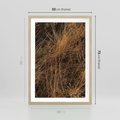 Plakat w ramie 50x70 - Szlachetna Suchość Traw - trawy, suche trawy - rama drewno