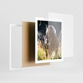 Plakat w ramie 40x50 - Spotkanie konia na łące - koń, łąka - rama biała
