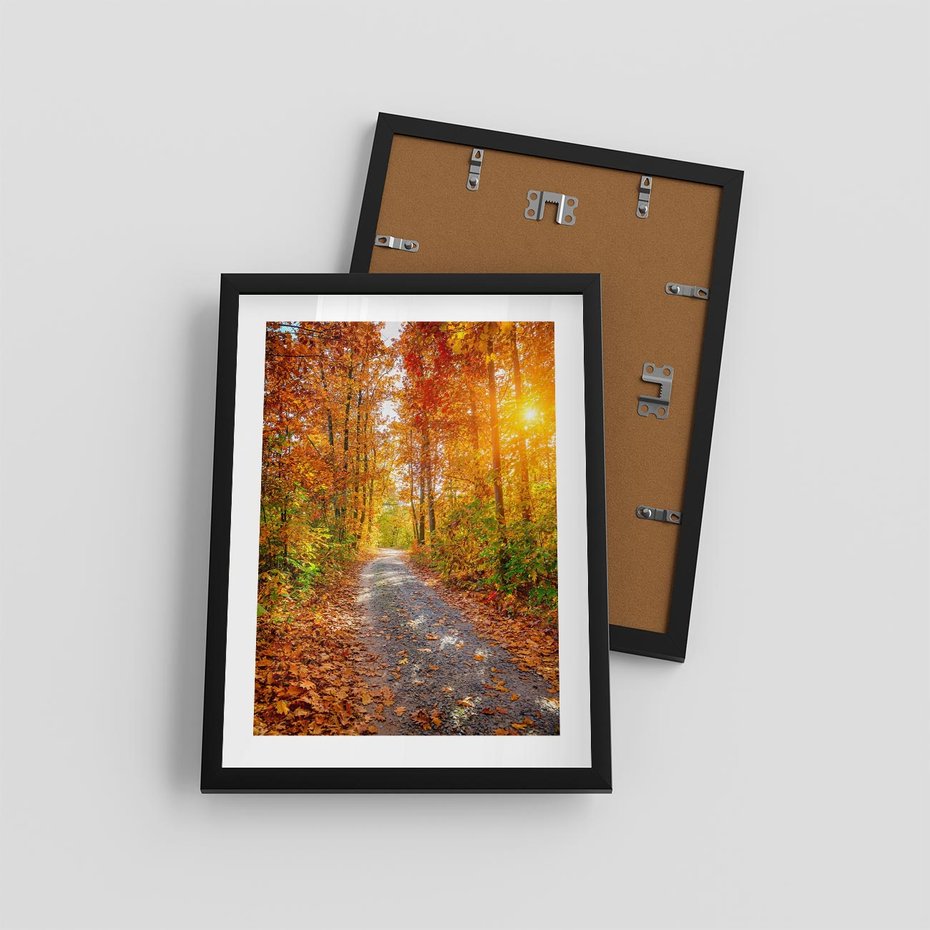 Plakat w ramie 30x40 - Kolorowe drzewa na ścieżce jesieni - las, jesień - rama czarna