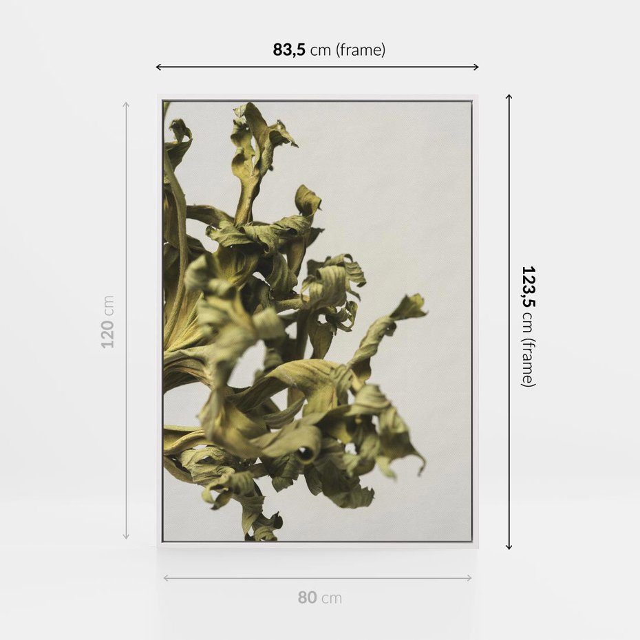 Obraz w ramie 80x120 - Odejście pory deszczowej - suche, trawy - rama biała