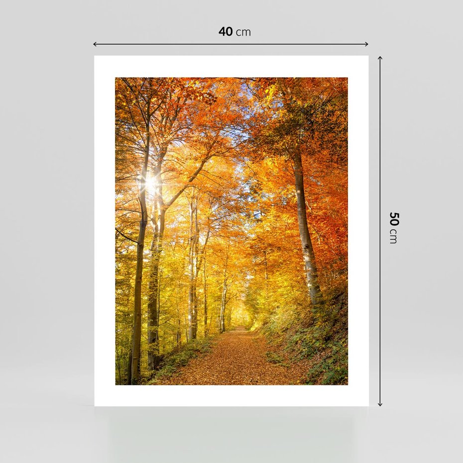 Plakat bez ramy 40x50 - Złote barwy jesiennego lasu - las, jesień