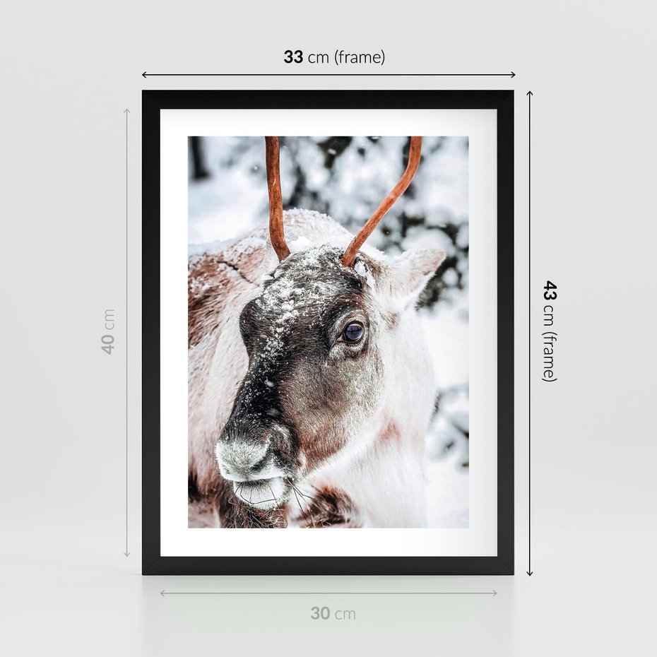 Plakat w ramie 30x40 - Renifer w Zimowej Krainie - renifer, zima - rama czarna