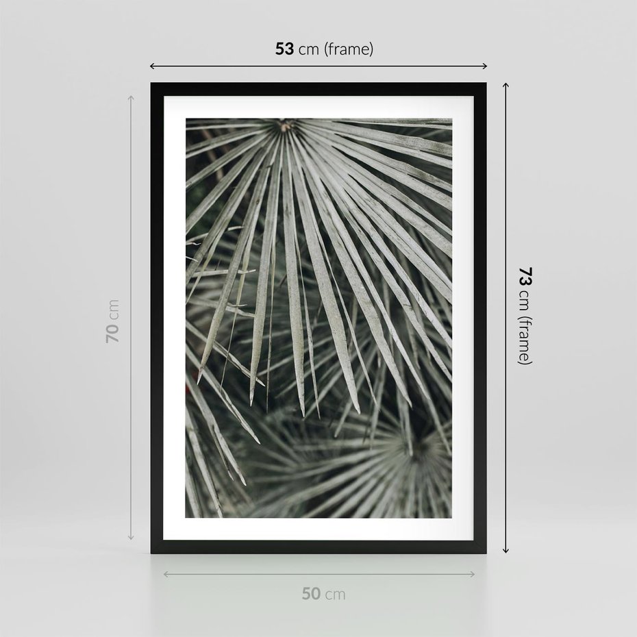 Plakat w ramie 50x70 - Ujęcie Tropikalnej Natury - palmy, liście palmy - rama czarna