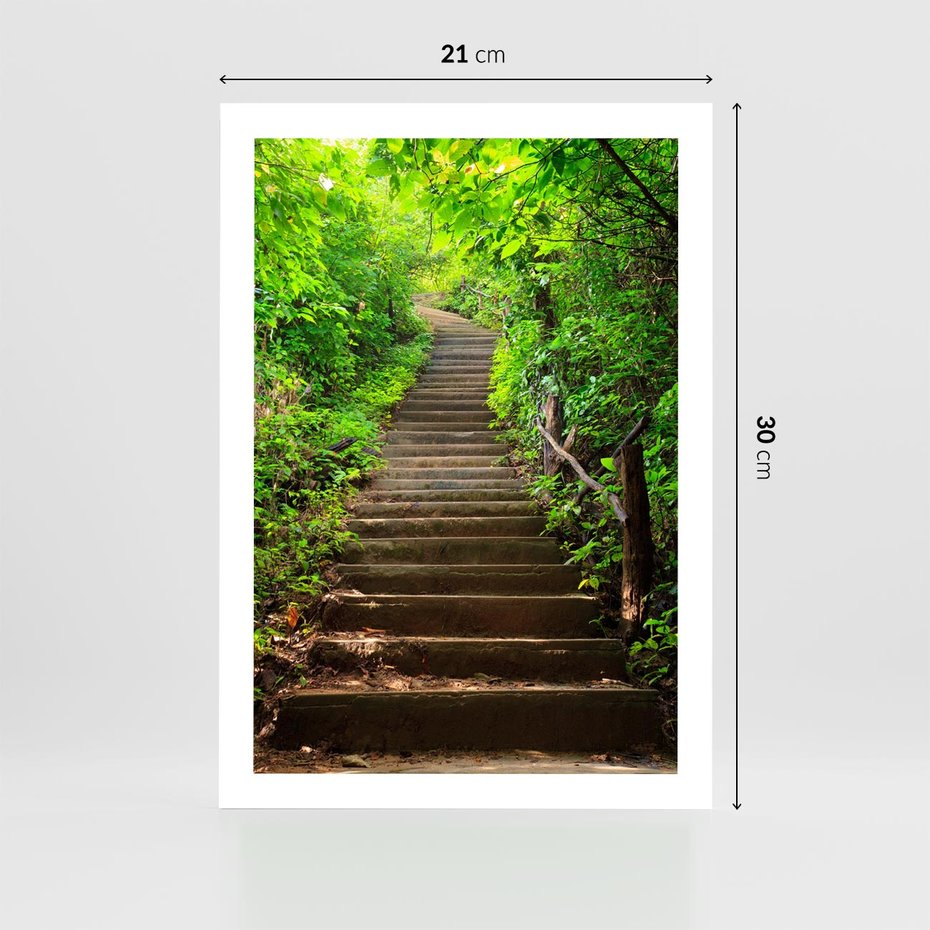 Plakat bez ramy 21x30 - Lasowa ścieżka pełna tajemnic - ścieżka, schody