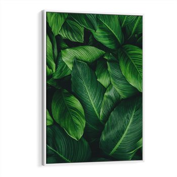 Obraz w ramie 80x120 - Palma Liście Kwiat - palma, liście - rama biała