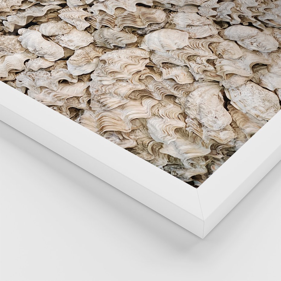 Zestaw obrazy w ramie 50x70 galeria - Plaża, boho, palmy, muszle, morze - rama biała