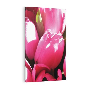 Obraz na płótnie 80x120 - Tulipany w pejzażu - tulipany, kwiaty