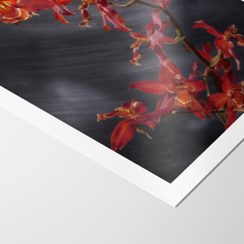 Plakat bez ramy 40x50 - Kolorowy Raj - kwiaty, tropikalne