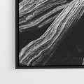 Obraz w ramie 70x50 - Siła Natury - czarno biała fotografia, korzenie wielkiego drzewa - rama czarna