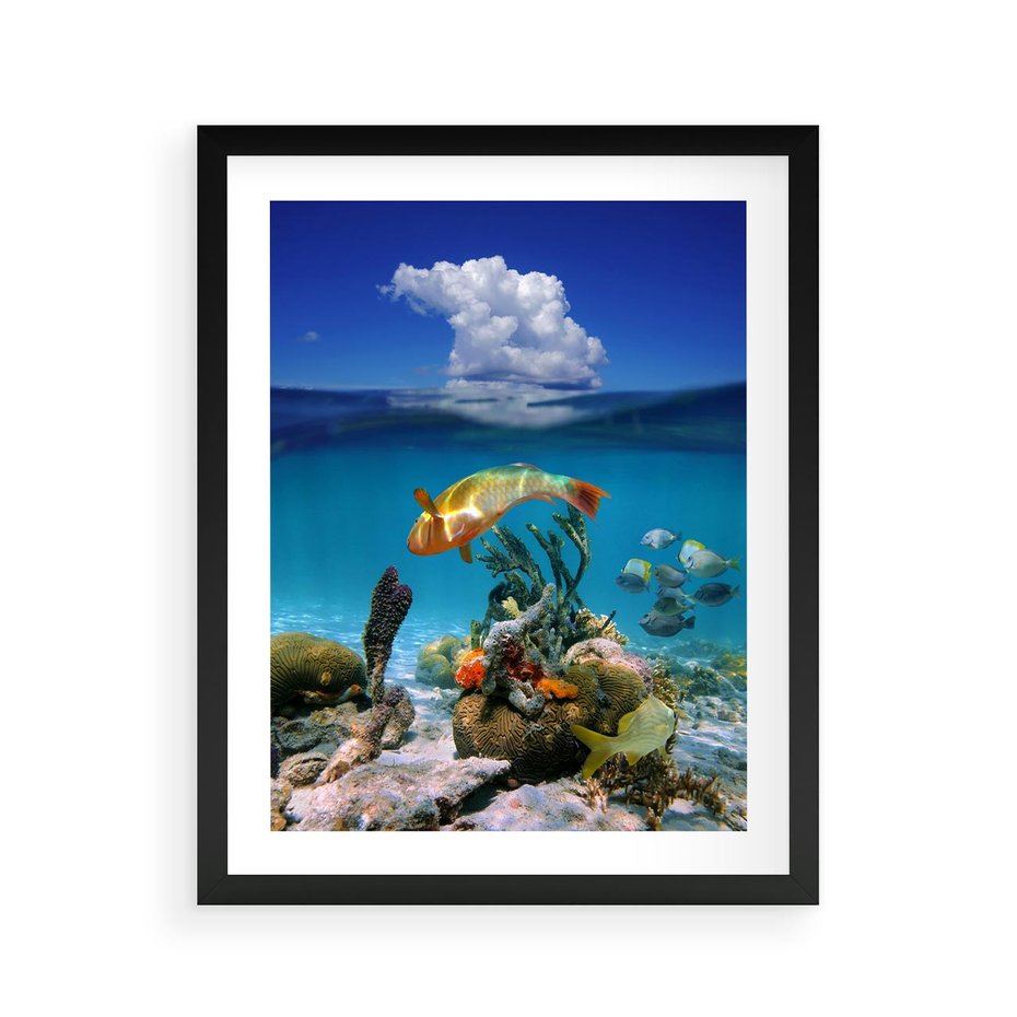 Plakat w ramie 40x50 - Podwodna rafa koralowa: kolorowy oceanowy świat - rafa, koralowa - rama czarna