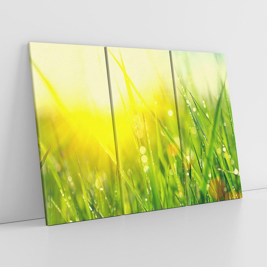 Obraz na płótnie 120x80 - Piękno Poranka - łąka, trawa