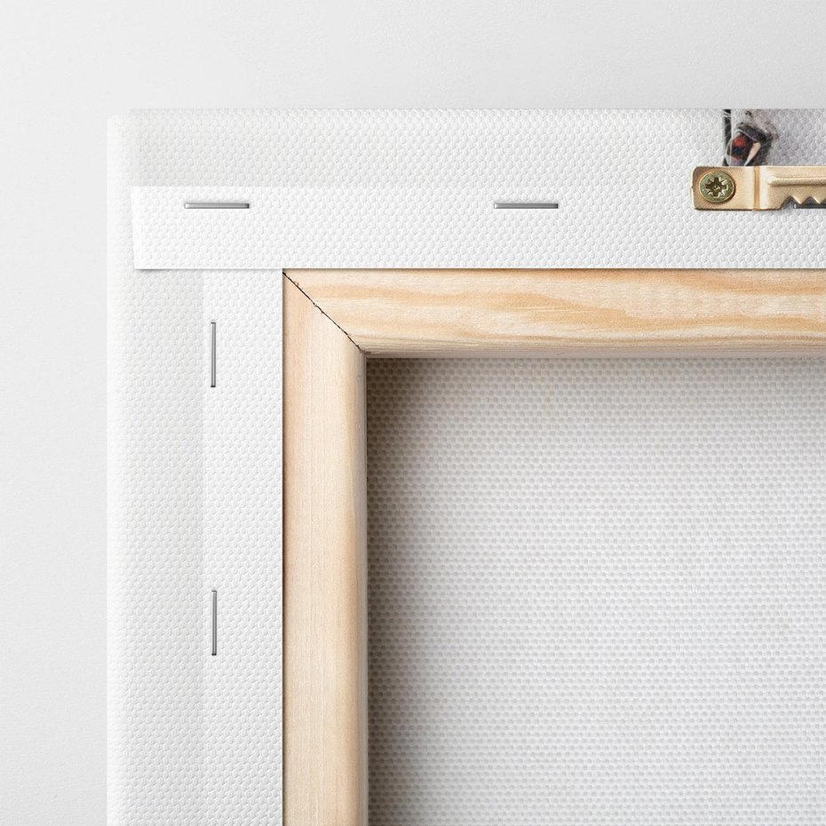 Obraz na płótnie 80x120 - Elegancja białego konia - biały, koń