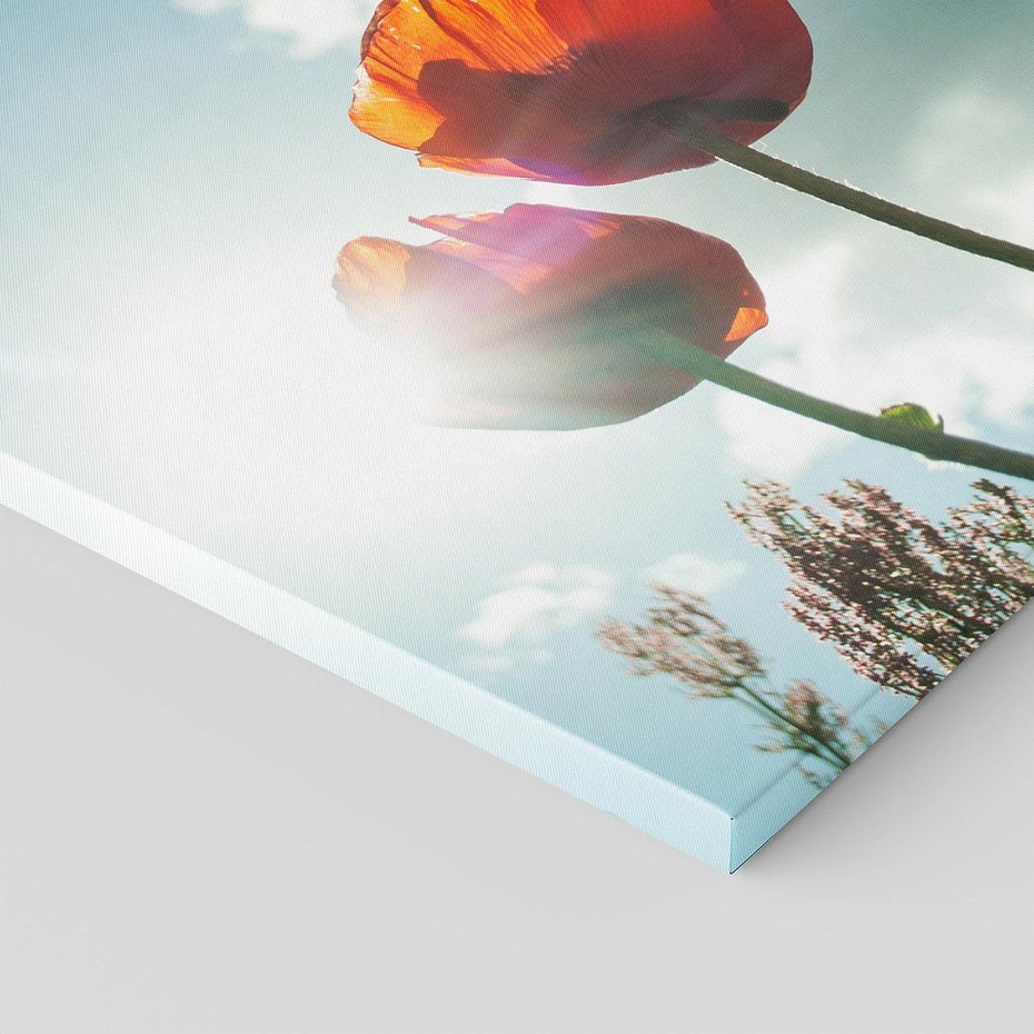 Obraz na płótnie 120x80 - Kwiaty pod niebem: piękno natury - kwiaty, niebo