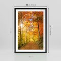 Plakat w ramie 50x70 - Złote barwy jesiennego lasu - las, jesień - rama czarna