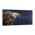 Obraz na płótnie 140x70 - Orzeł w niebieskiej przestrzeni - orzeł, ptak