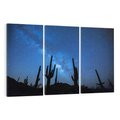 Obraz na płótnie 120x80 - Kaktusy - Niebo z gwiazdami - kaktusy, niebo
