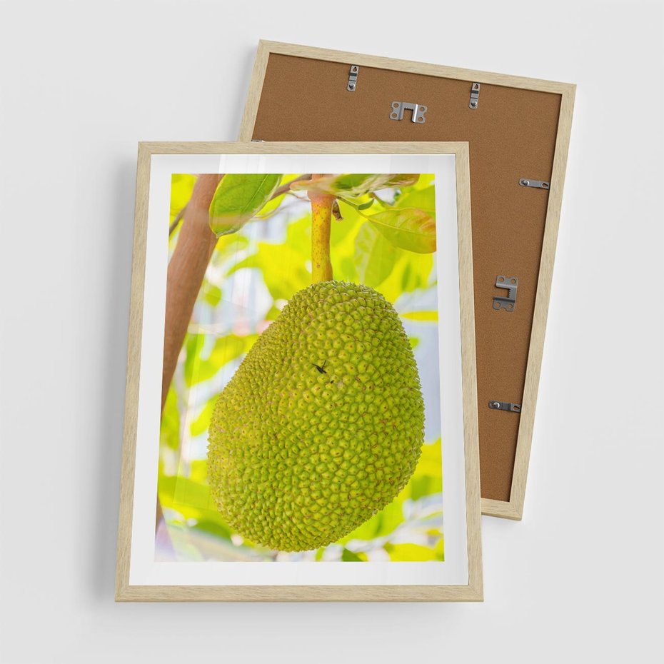 Plakat w ramie 50x70 - Tropikalny raj nad morzem - tropikalny, owoc - rama drewno